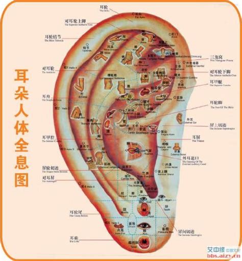 耳門面相